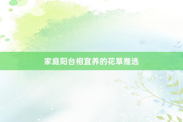 家庭阳台相宜养的花草推选