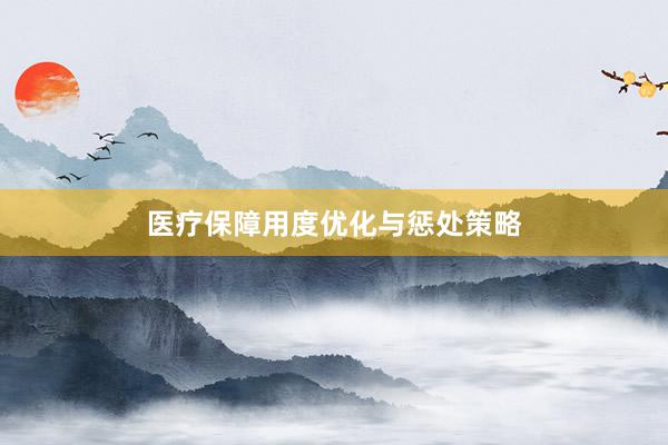 医疗保障用度优化与惩处策略