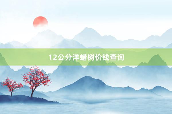 12公分洋蜡树价钱查询