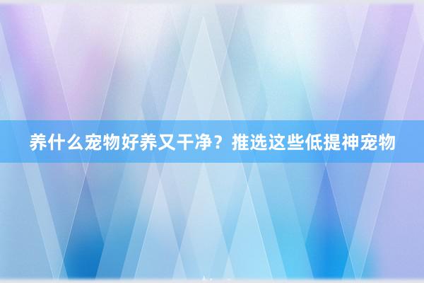 养什么宠物好养又干净？推选这些低提神宠物