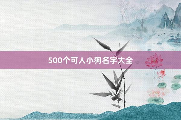 500个可人小狗名字大全